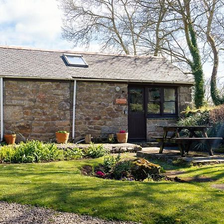 Cosy Cottage In The Beautiful Lamorna Valley - Walk To The Pub & Sea Paul 외부 사진